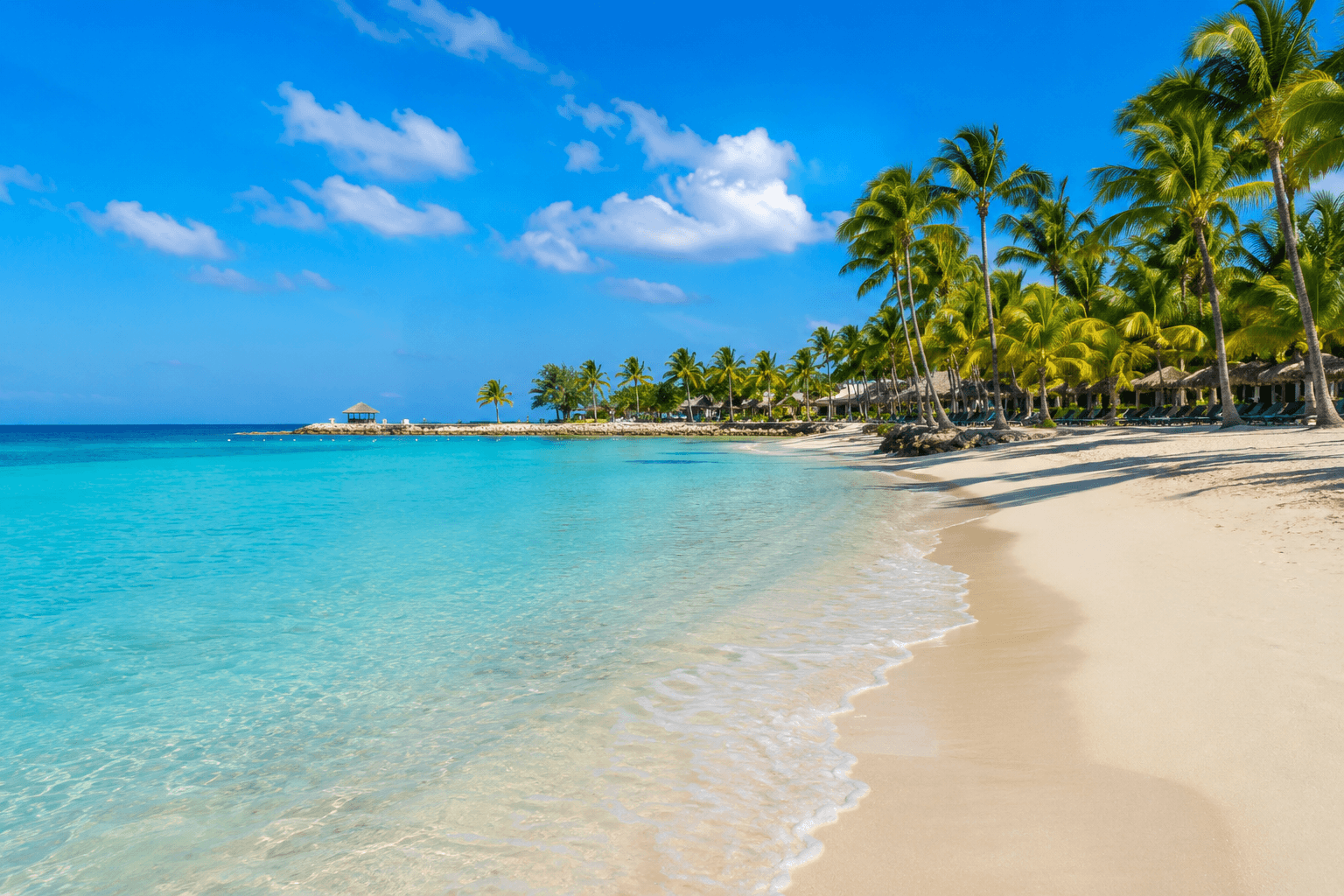 CARIBE SIN SARGAZO